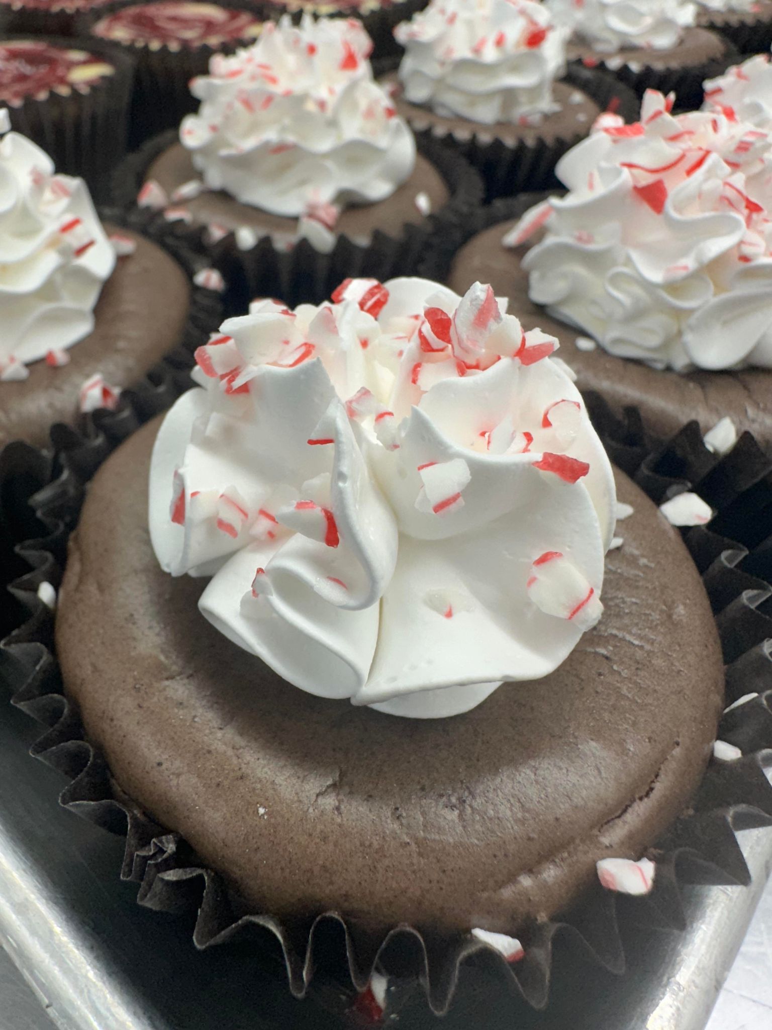 Mini Peppermint Mocha Cheesecake Sugar Daddy Bakery